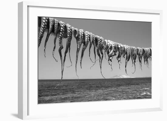 Drying Octopus Arms on Nisyros Island, Traditional Greek Seafood Prepared on a Grill, Greece-Jiri Vavricka-Framed Photographic Print