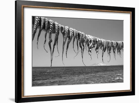 Drying Octopus Arms on Nisyros Island, Traditional Greek Seafood Prepared on a Grill, Greece-Jiri Vavricka-Framed Photographic Print