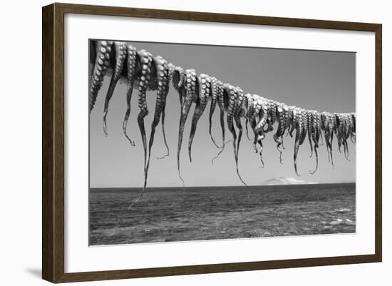 Drying Octopus Arms on Nisyros Island, Traditional Greek Seafood Prepared on a Grill, Greece-Jiri Vavricka-Framed Photographic Print