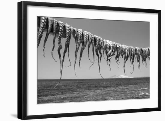 Drying Octopus Arms on Nisyros Island, Traditional Greek Seafood Prepared on a Grill, Greece-Jiri Vavricka-Framed Photographic Print