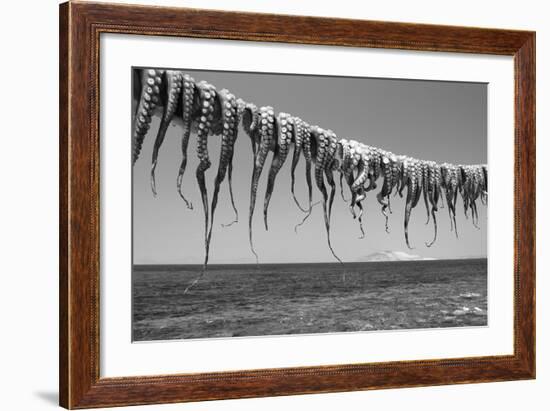 Drying Octopus Arms on Nisyros Island, Traditional Greek Seafood Prepared on a Grill, Greece-Jiri Vavricka-Framed Photographic Print