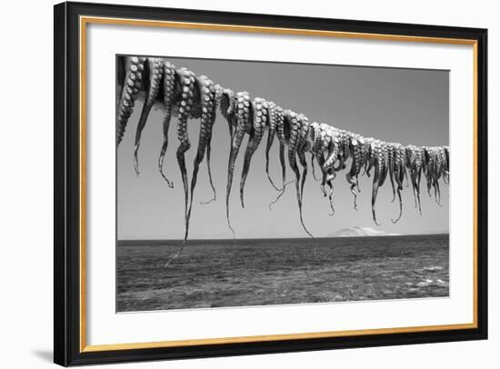 Drying Octopus Arms on Nisyros Island, Traditional Greek Seafood Prepared on a Grill, Greece-Jiri Vavricka-Framed Photographic Print