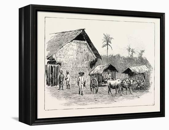 Drying Sheds for Tobacco, Sumatra, Indonesia, 1890-null-Framed Premier Image Canvas
