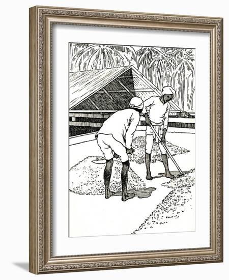 'Drying the Cocoa', 1912-Charles Robinson-Framed Giclee Print