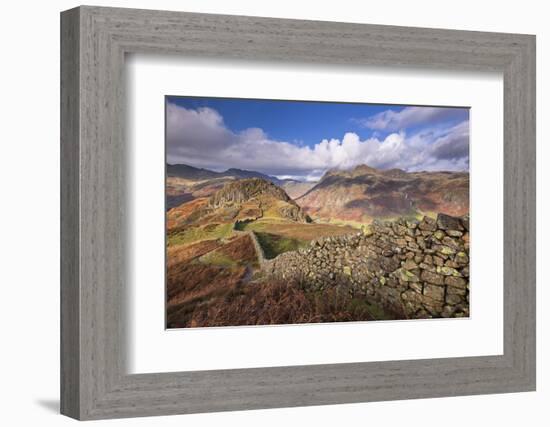 Drystone Wall Near the Langdale Valley in the Lake District, Cumbria, England. Autumn (November)-Adam Burton-Framed Photographic Print