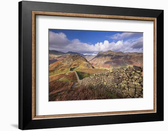 Drystone Wall Near the Langdale Valley in the Lake District, Cumbria, England. Autumn (November)-Adam Burton-Framed Photographic Print