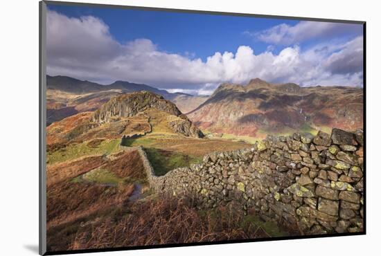 Drystone Wall Near the Langdale Valley in the Lake District, Cumbria, England. Autumn (November)-Adam Burton-Mounted Photographic Print