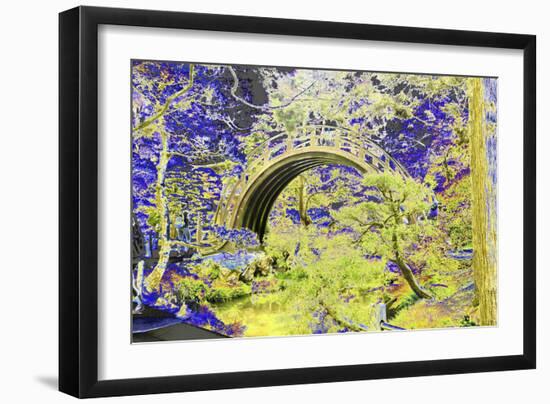 DSC-0213-Tom Kelly-Framed Photographic Print