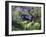 DSC-0237-Tom Kelly-Framed Photographic Print