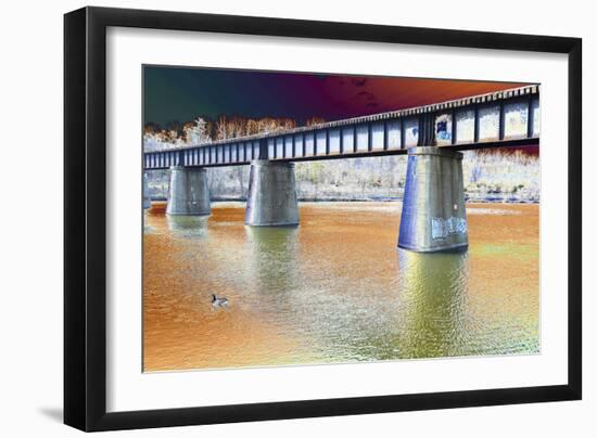 DSC-1007 Rail Road Duck-Tom Kelly-Framed Photographic Print