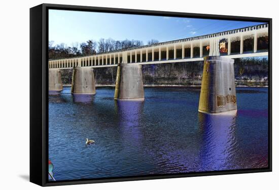 DSC-1009-Tom Kelly-Framed Stretched Canvas