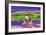 _DSC0009 (2)-Tom Kelly-Framed Giclee Print