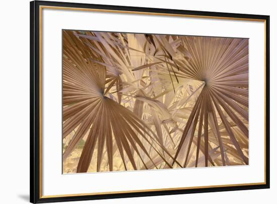 _DSC0009-Tom Kelly-Framed Giclee Print