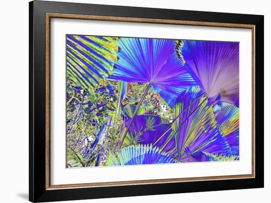 _DSC0044 - Copy-Tom Kelly-Framed Giclee Print