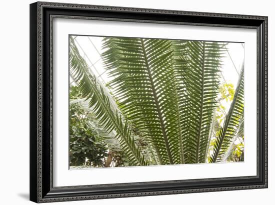 DSC0131-Tom Kelly-Framed Photographic Print