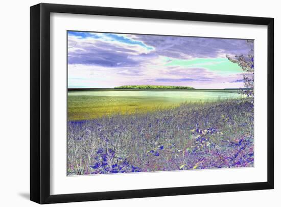 DSC0230-Autrain Island 1-Tom Kelly-Framed Photographic Print