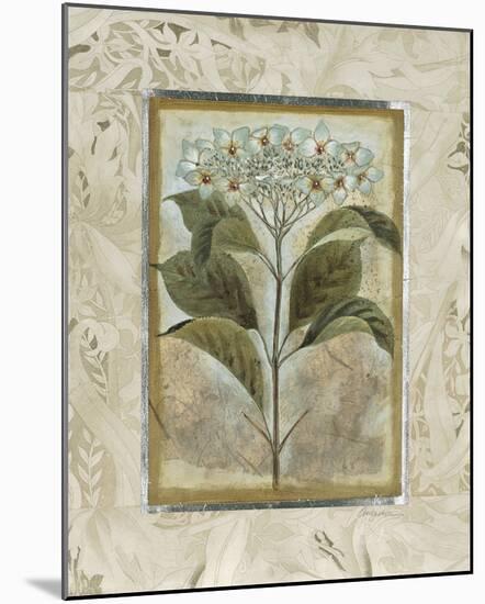 Du Jardin II-Augustine-Mounted Giclee Print