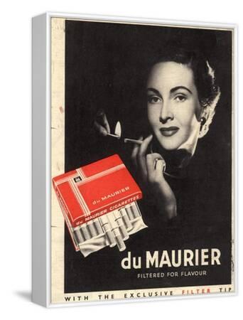 cigarette dumaurier Du Maurier, Cigarettes Smoking Glamour, UK, 1950 Giclee Print
