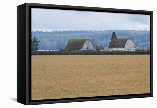 Dual Barns-Dana Styber-Framed Premier Image Canvas