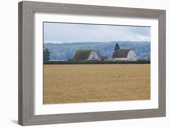 Dual Barns-Dana Styber-Framed Photographic Print