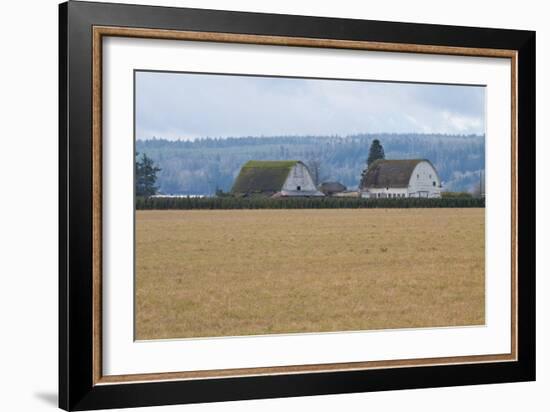 Dual Barns-Dana Styber-Framed Photographic Print