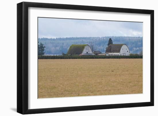 Dual Barns-Dana Styber-Framed Photographic Print