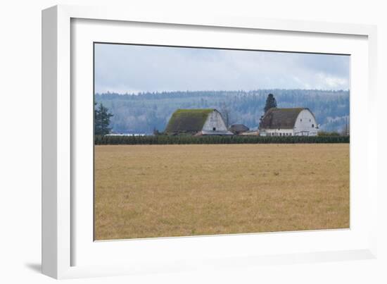 Dual Barns-Dana Styber-Framed Photographic Print