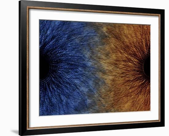 Duality Motif-null-Framed Photographic Print