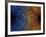 Duality Motif-null-Framed Photographic Print