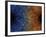 Duality Motif-null-Framed Photographic Print