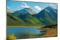 Photographic Print