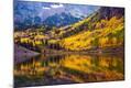 Photographic Print