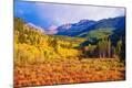 Photographic Print