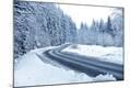 Photographic Print