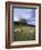 Duart Castle, Isle of Mull, Argyllshire, Inner Hebrides, Scotland, United Kingdom-Christina Gascoigne-Framed Photographic Print