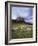 Duart Castle, Isle of Mull, Argyllshire, Inner Hebrides, Scotland, United Kingdom-Christina Gascoigne-Framed Photographic Print