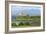 Duart Castle, Near Craignure, Mull, Argyll and Bute, Scotland-Peter Thompson-Framed Photographic Print