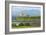 Duart Castle, Near Craignure, Mull, Argyll and Bute, Scotland-Peter Thompson-Framed Photographic Print