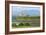 Duart Castle, Near Craignure, Mull, Argyll and Bute, Scotland-Peter Thompson-Framed Photographic Print