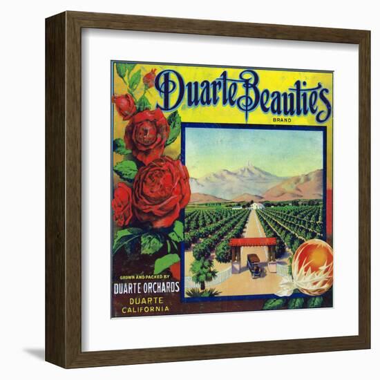 Duarte, California, Duarte Beauties Brand Citrus Label-Lantern Press-Framed Art Print