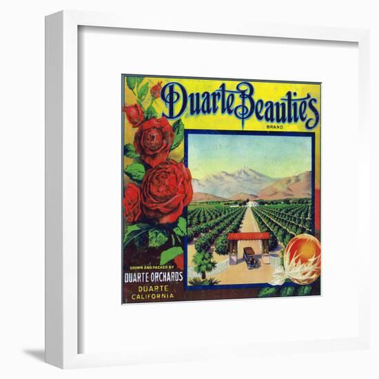 Duarte, California, Duarte Beauties Brand Citrus Label-Lantern Press-Framed Art Print