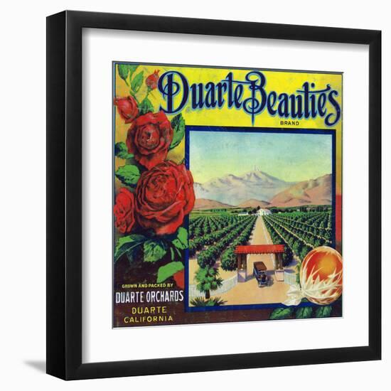 Duarte, California, Duarte Beauties Brand Citrus Label-Lantern Press-Framed Art Print