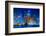 Dubai Marina Cityscape, Uae-bloodua-Framed Photographic Print