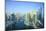 Dubai Marina, Dubai, United Arab Emirates-Fraser Hall-Mounted Photographic Print