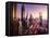 Dubai Skyline in Sunset Time, United Arab Emirates-Iakov Kalinin-Framed Premier Image Canvas