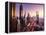 Dubai Skyline in Sunset Time, United Arab Emirates-Iakov Kalinin-Framed Premier Image Canvas