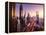 Dubai Skyline in Sunset Time, United Arab Emirates-Iakov Kalinin-Framed Premier Image Canvas