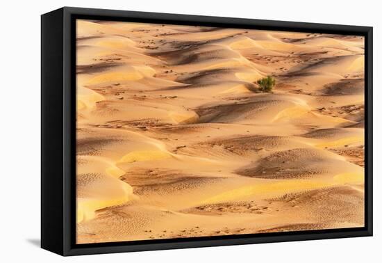 Dubai UAE - Sunset Sand Dunes-Philippe HUGONNARD-Framed Premier Image Canvas