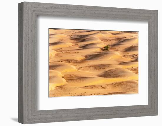 Dubai UAE - Sunset Sand Dunes-Philippe HUGONNARD-Framed Photographic Print