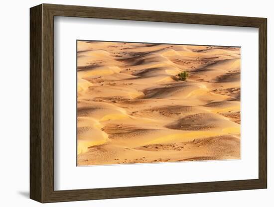 Dubai UAE - Sunset Sand Dunes-Philippe HUGONNARD-Framed Photographic Print